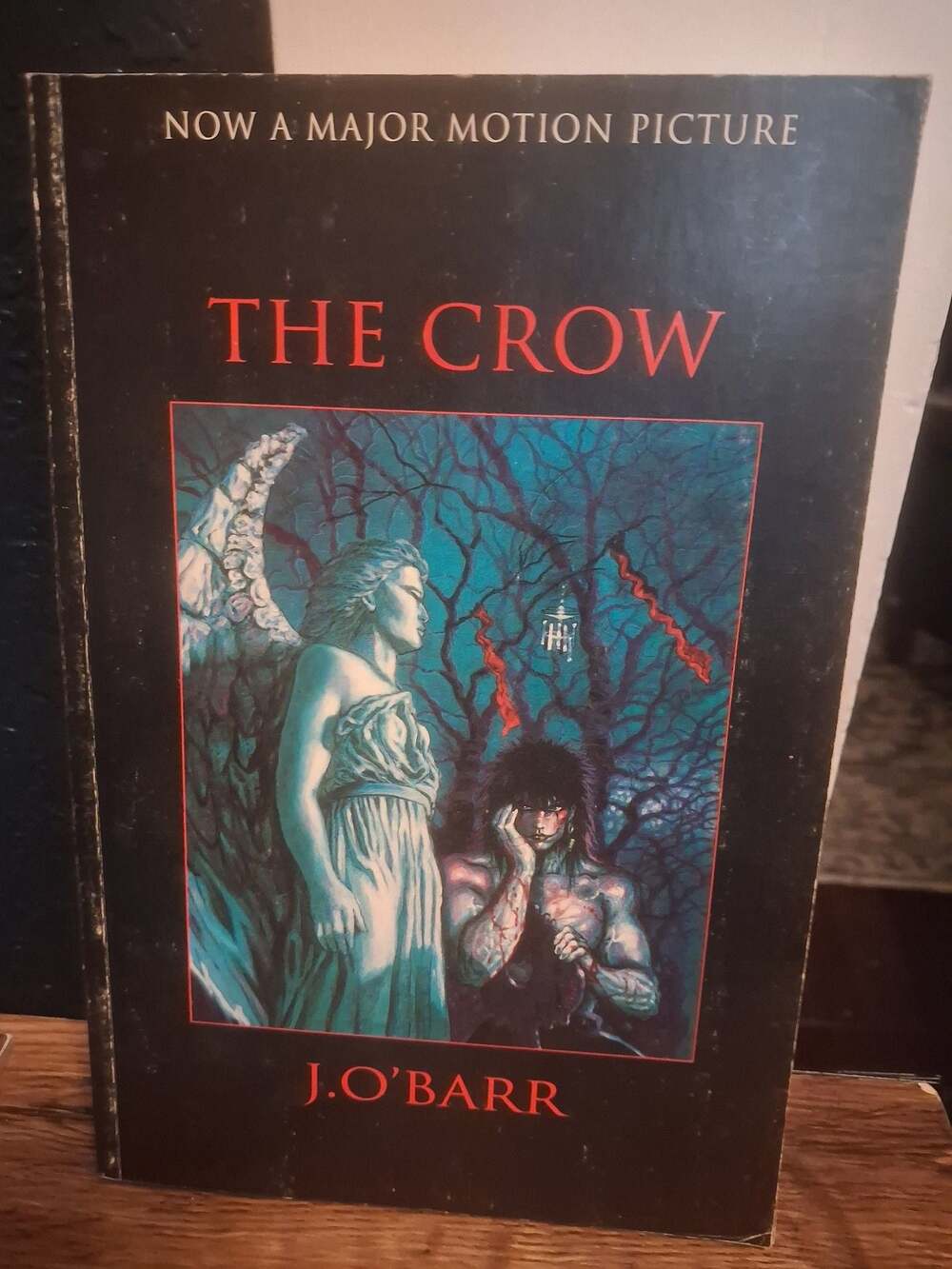 The Crow by James O'Barr Graphic Novel, Kitchen Sink Press Paperback